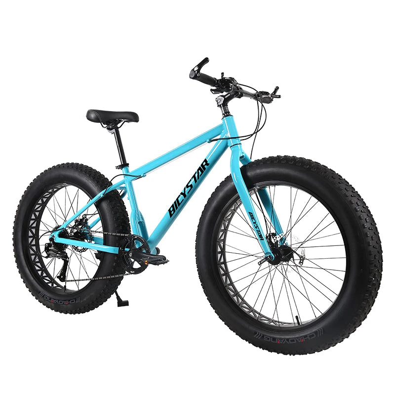 Fat Bike Canada / Fat Bike Beach Cruiser 28" / Fat Bike 4.9