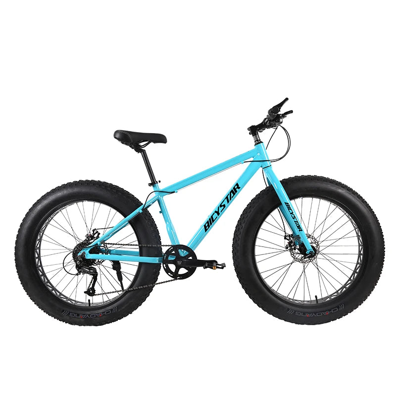 Fat Bike Canada / Fat Bike Beach Cruiser 28" / Fat Bike 4.9