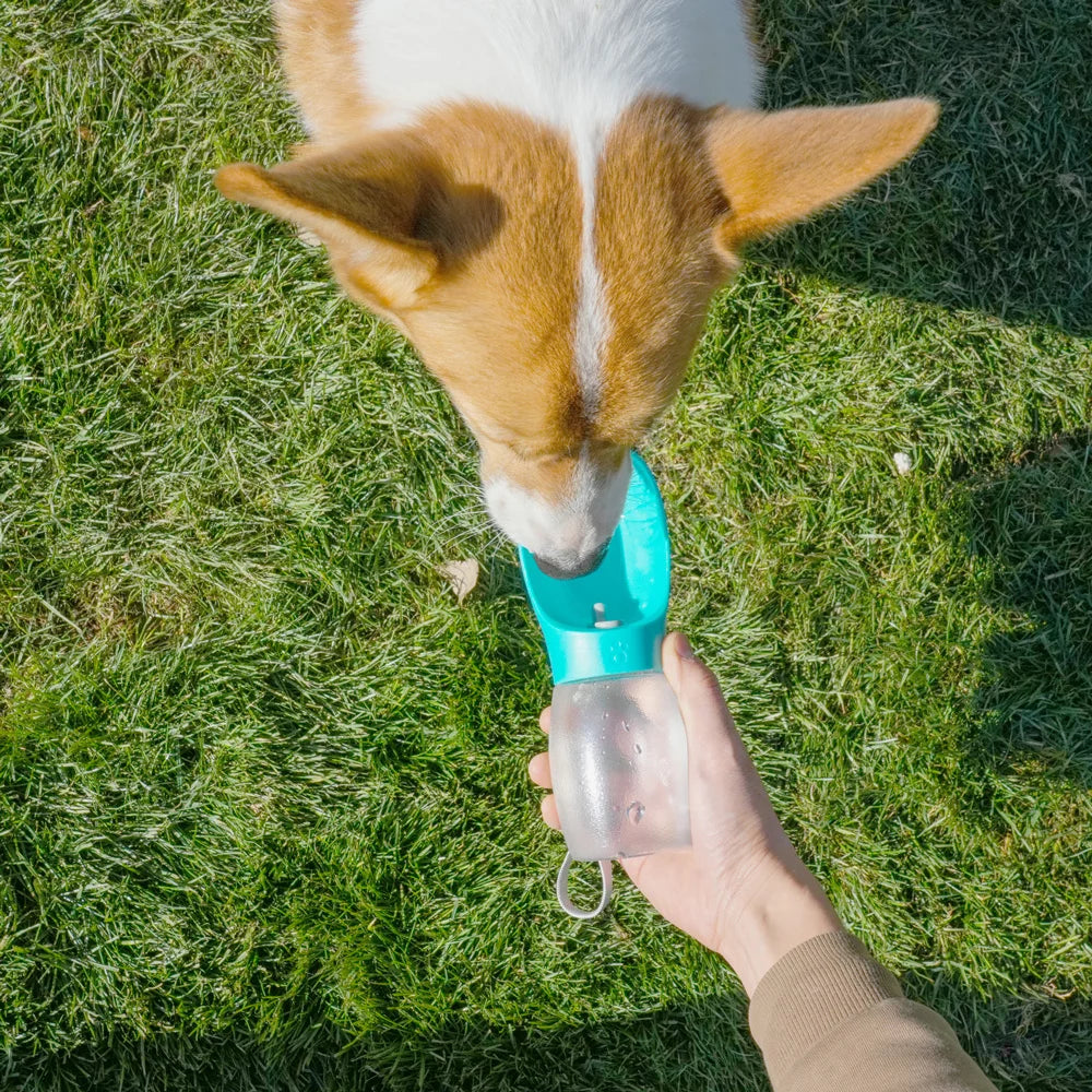 Botella de agua para perros 300ML Bebederos para cachorros para perros medianos y pequeños Gatos Senderismo Comedero portátil para gatos Suministros Golden Retriever